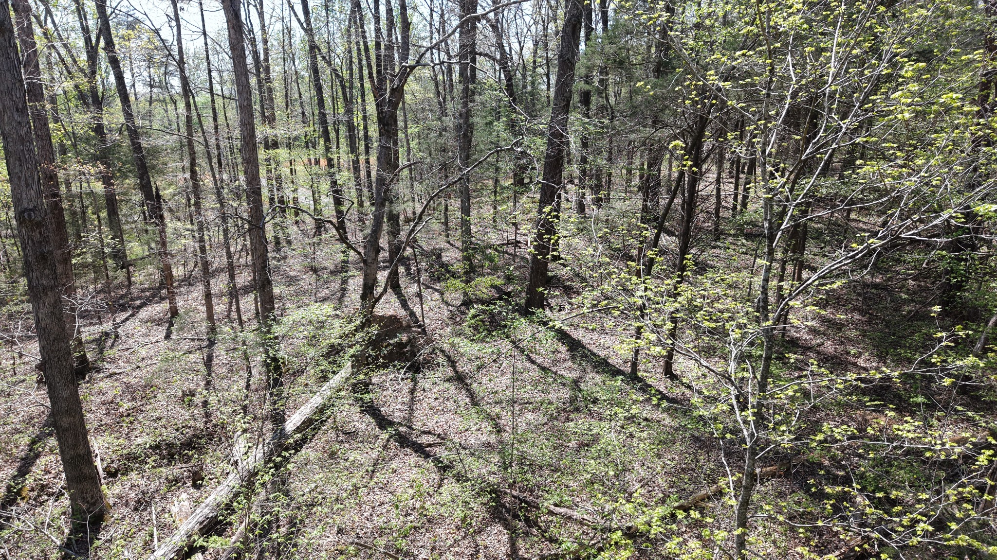 0 Old Highway 96 Burns TN 37029