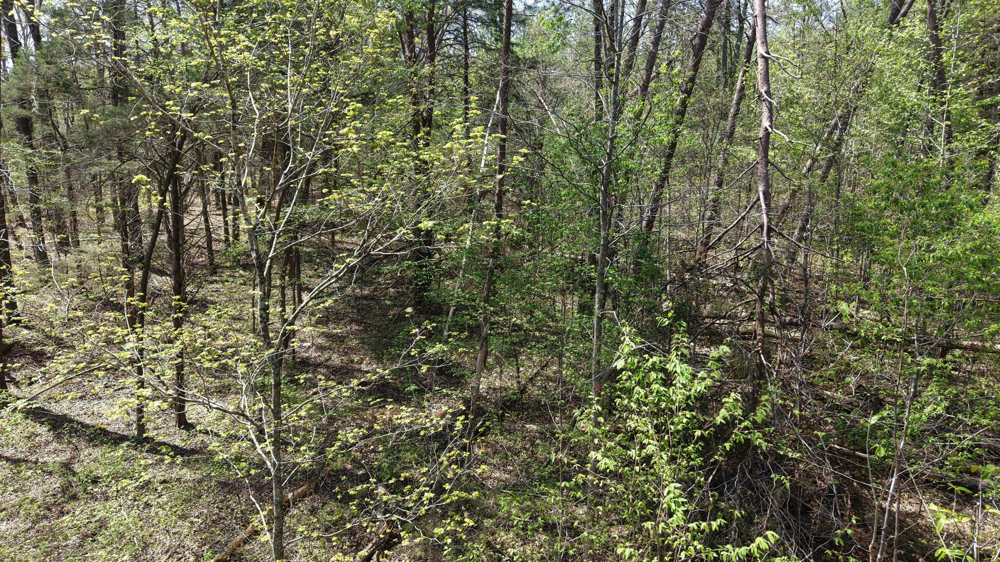 0 Old Highway 96 Burns TN 37029