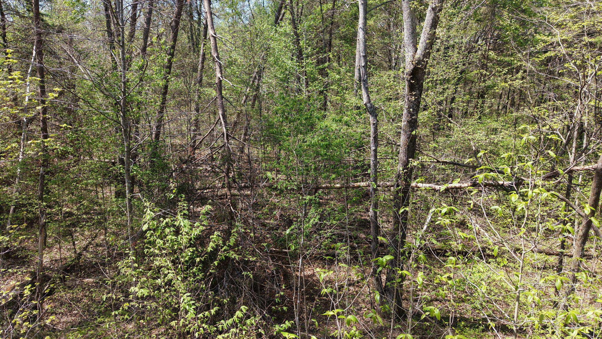 0 Old Highway 96 Burns TN 37029
