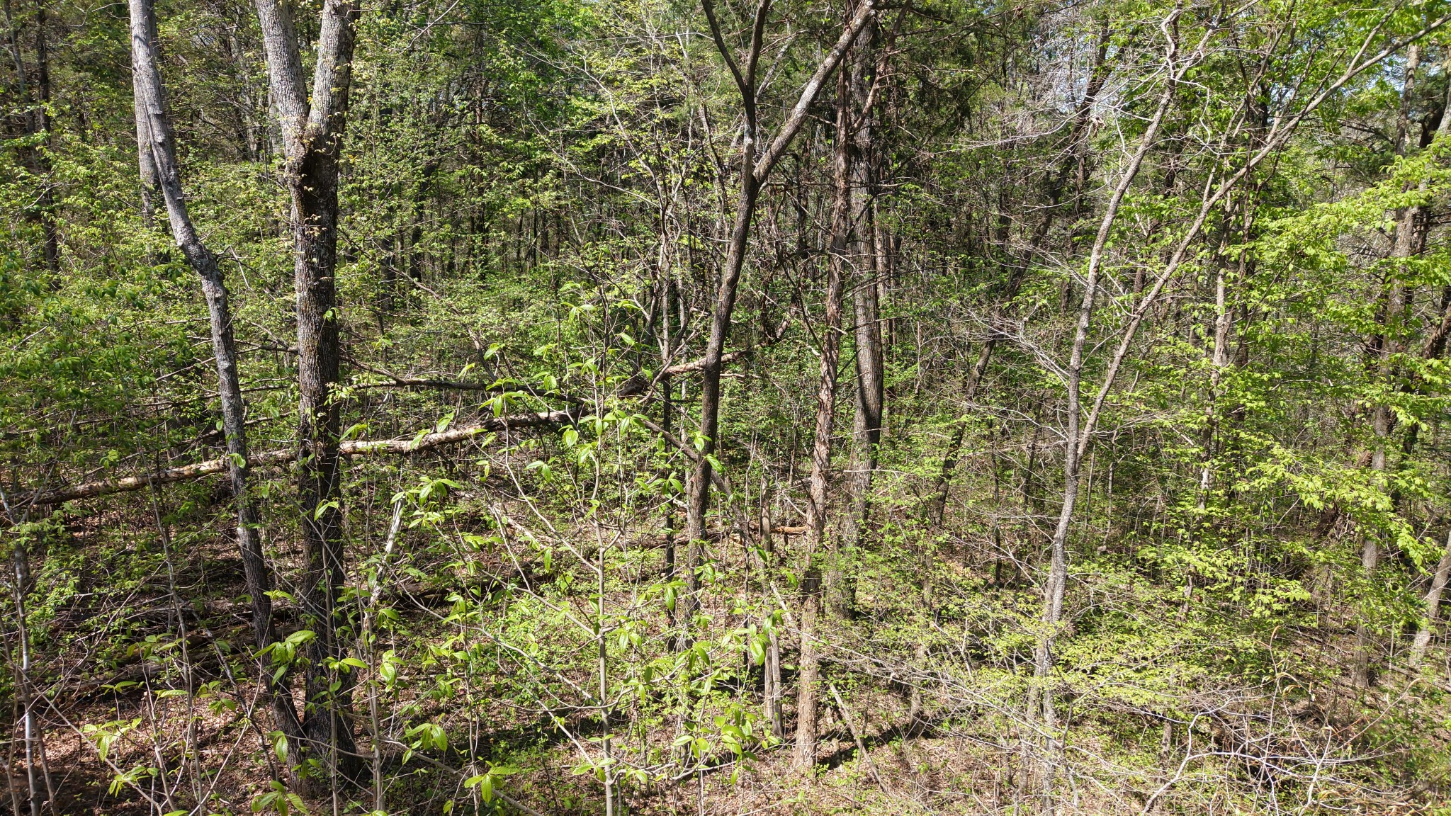 0 Old Highway 96 Burns TN 37029