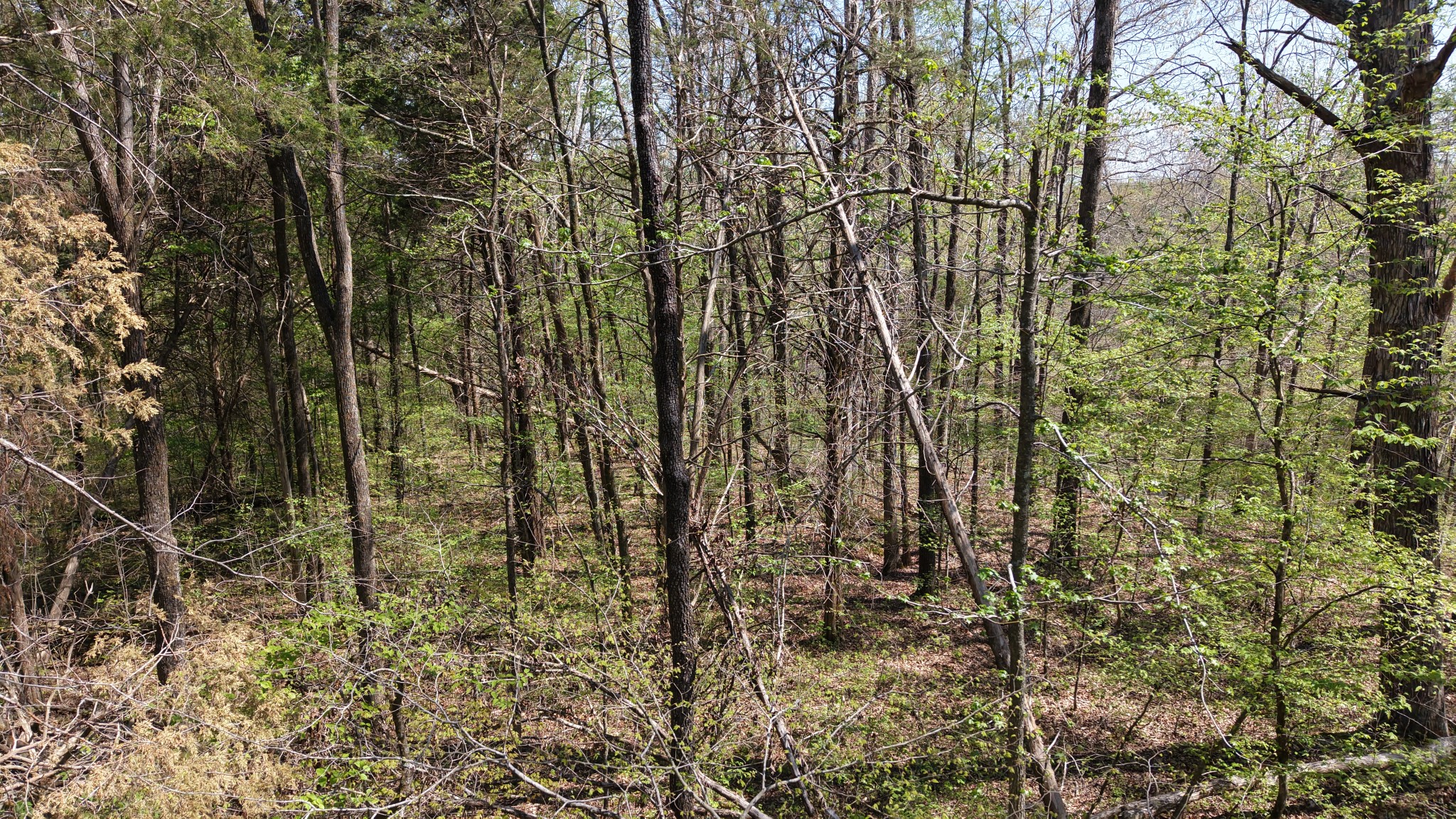 0 Old Highway 96 Burns TN 37029
