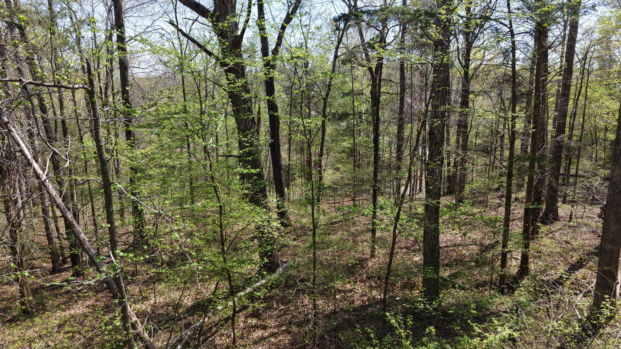 0 Old Highway 96 Burns TN 37029