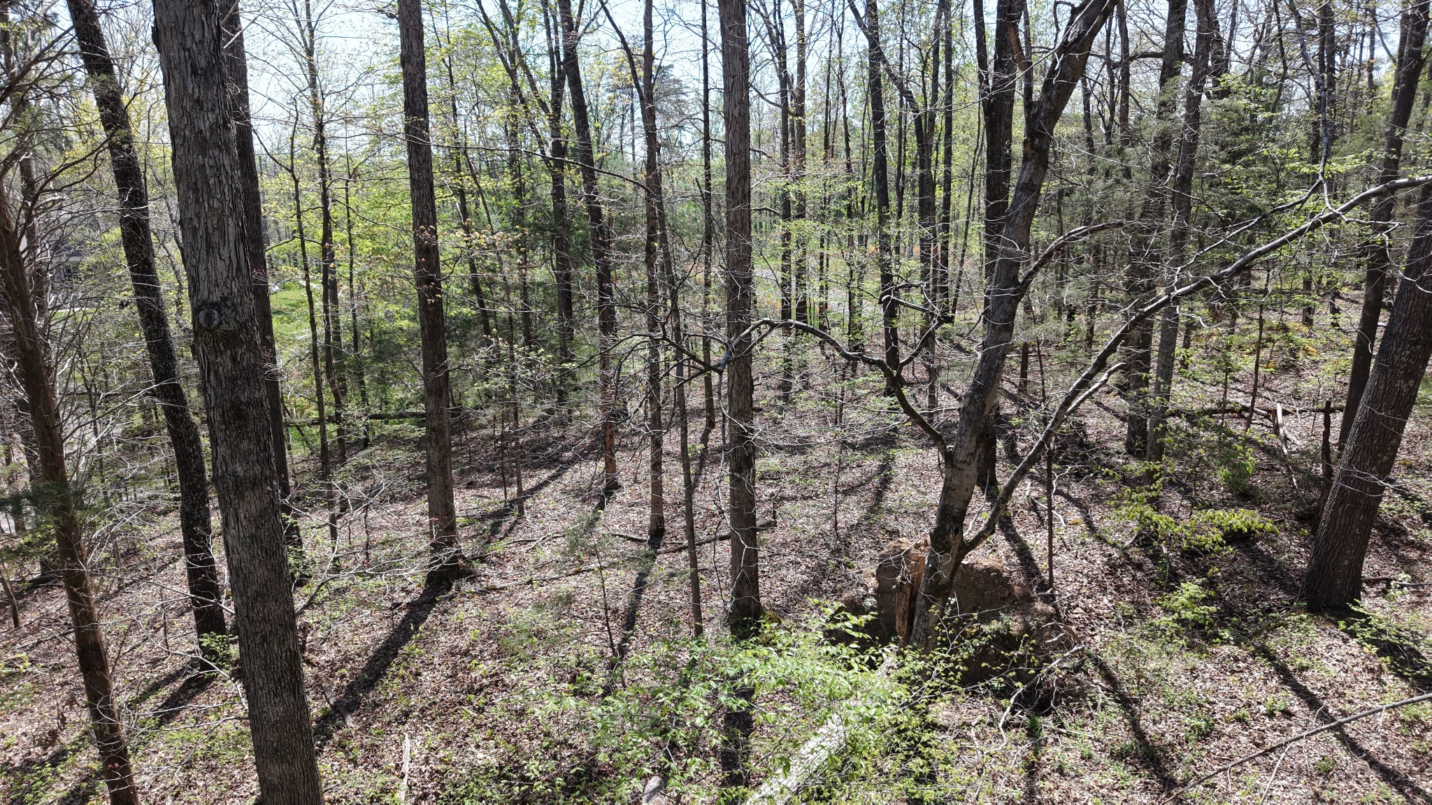 0 Old Highway 96 Burns TN 37029