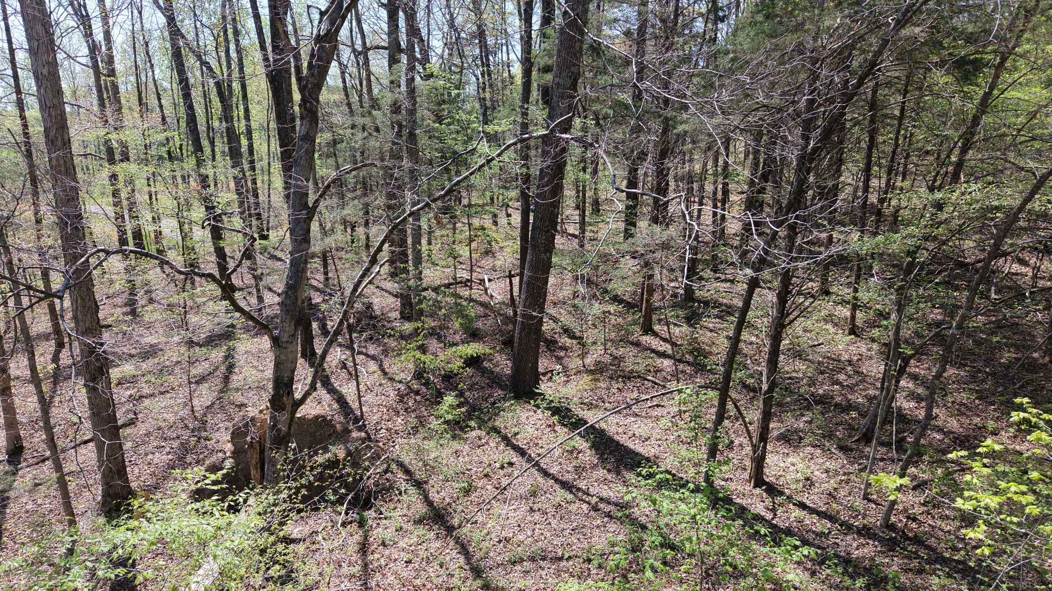 0 Old Highway 96 Burns TN 37029