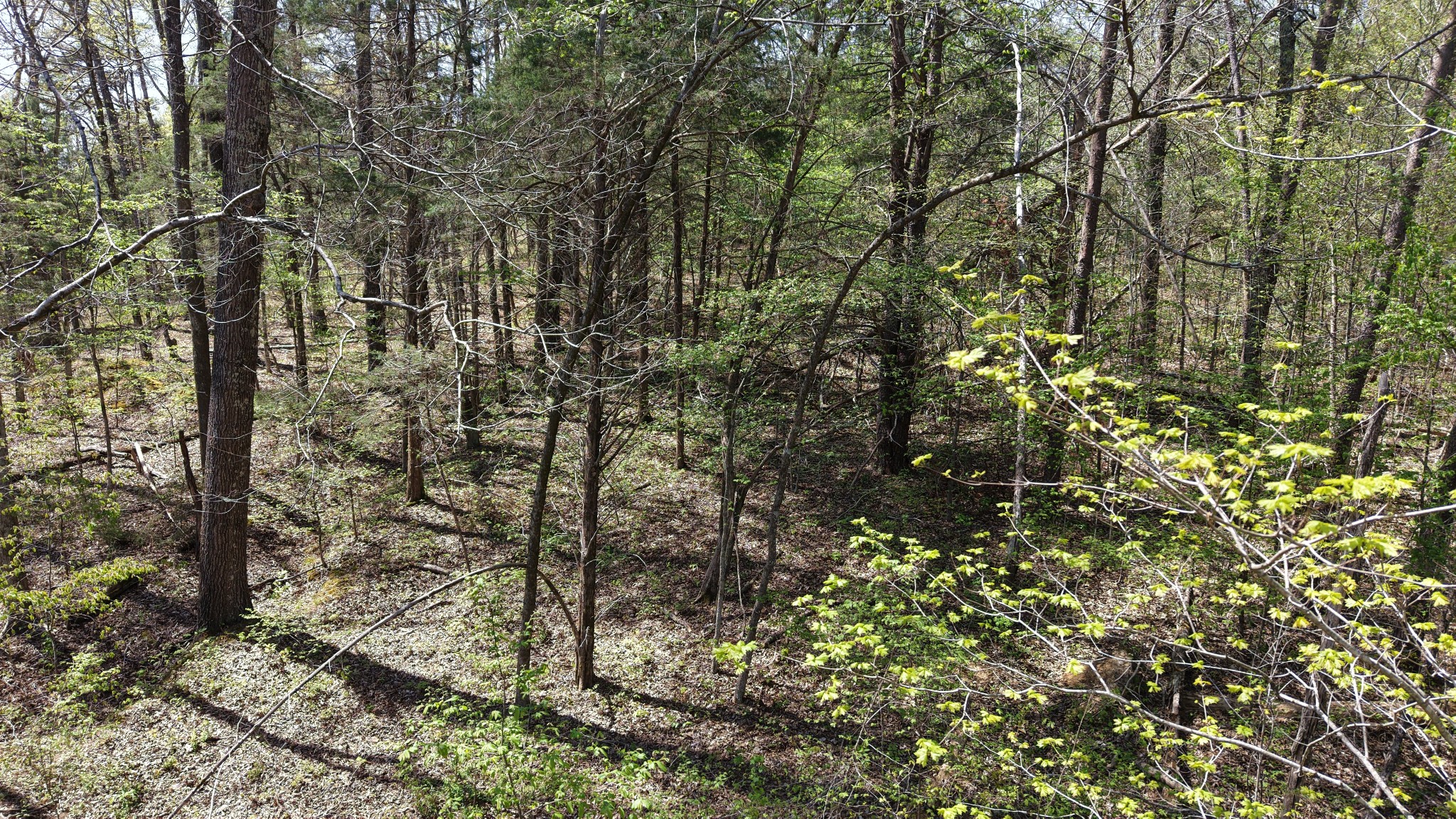 0 Old Highway 96 Burns TN 37029