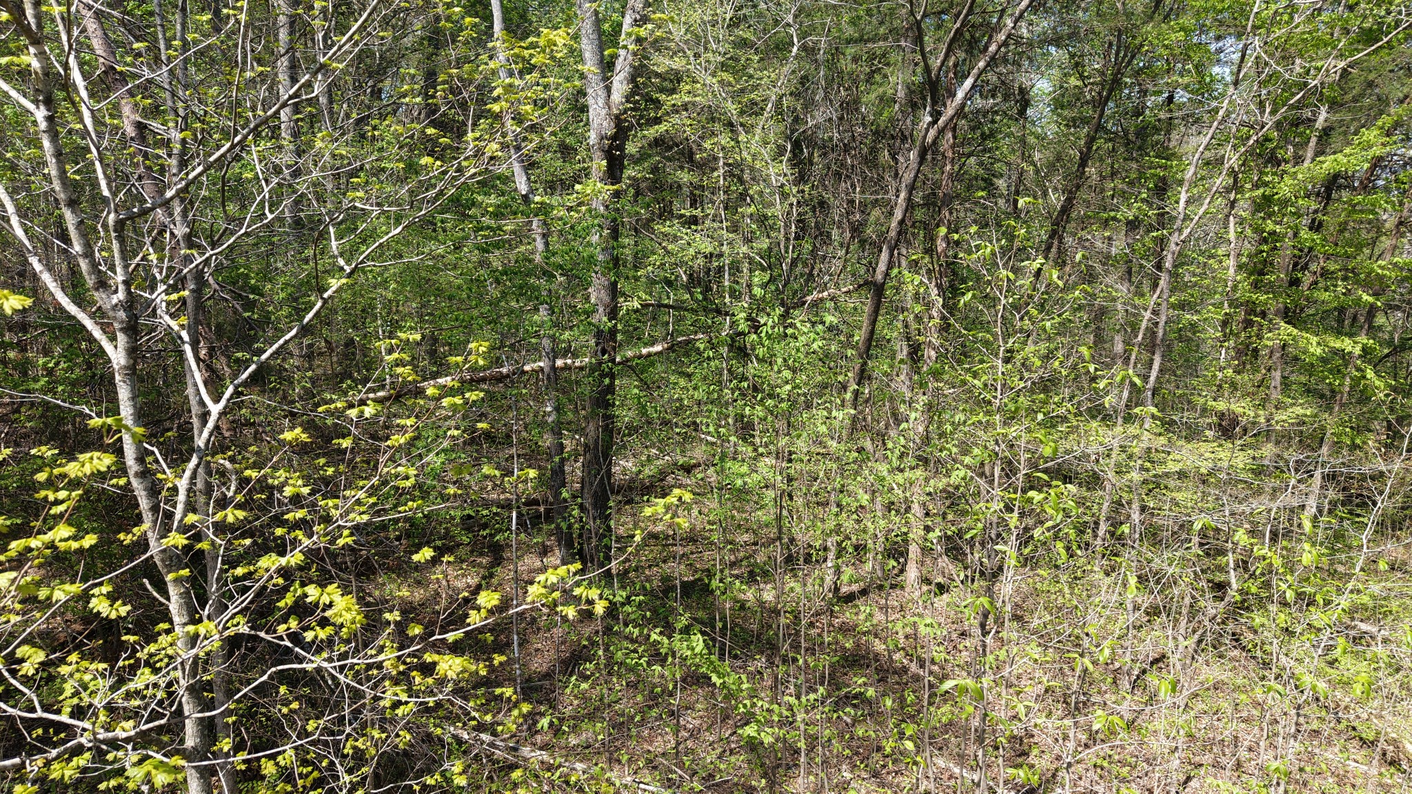 0 Old Highway 96 Burns TN 37029