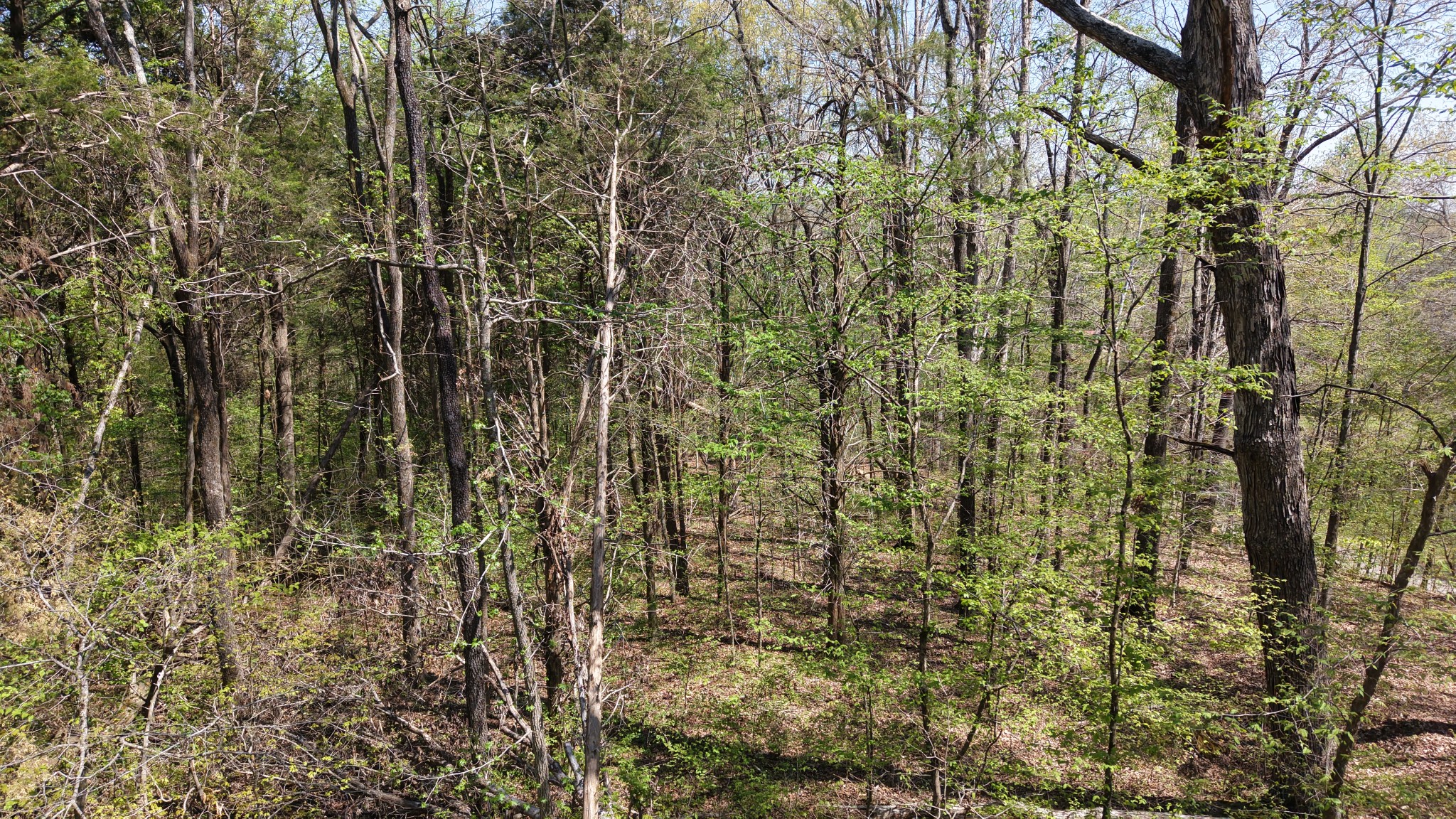 0 Old Highway 96 Burns TN 37029