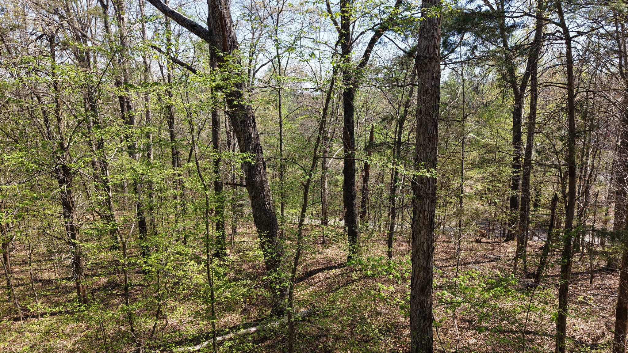 0 Old Highway 96 Burns TN 37029
