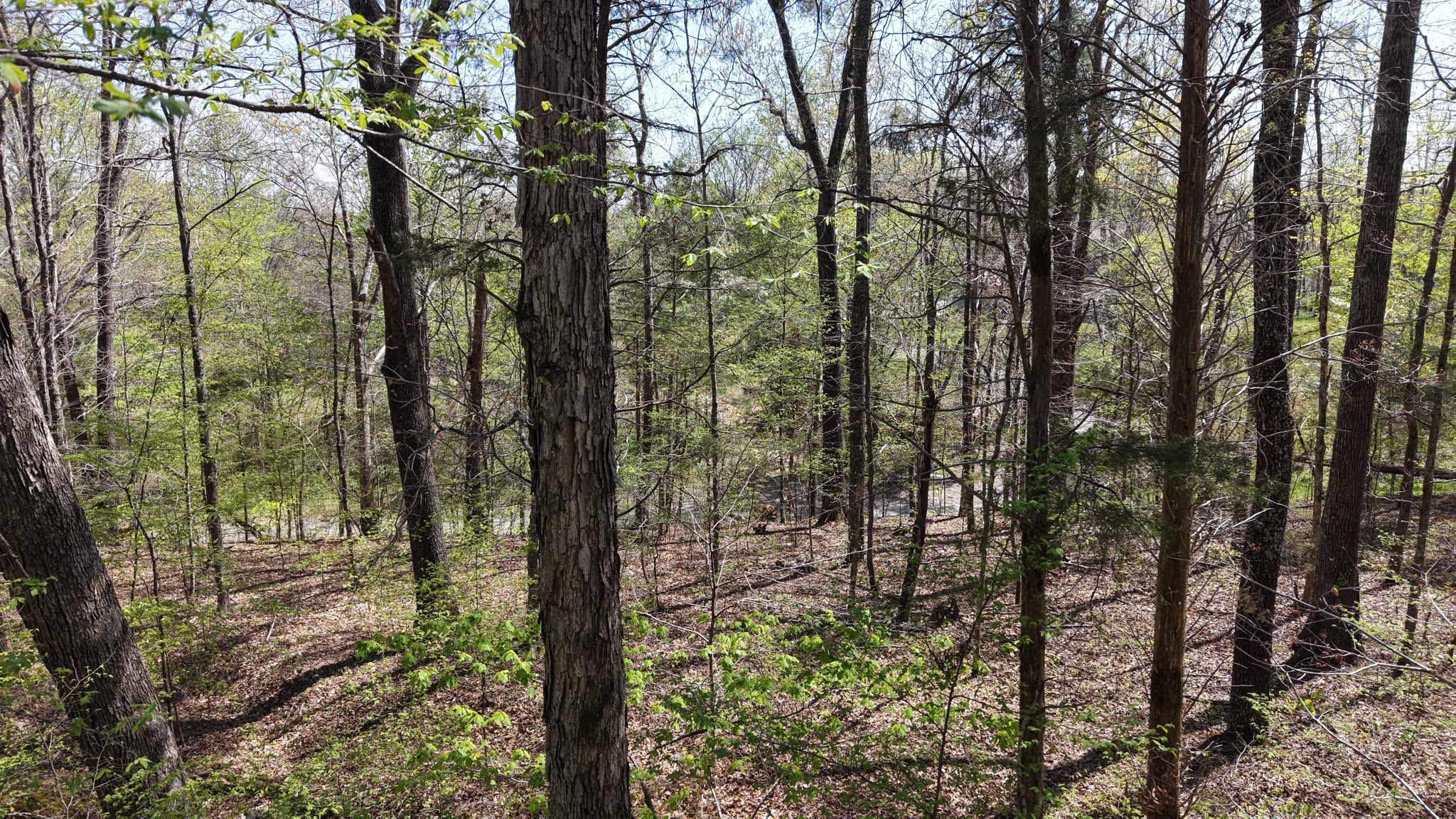 0 Old Highway 96 Burns TN 37029