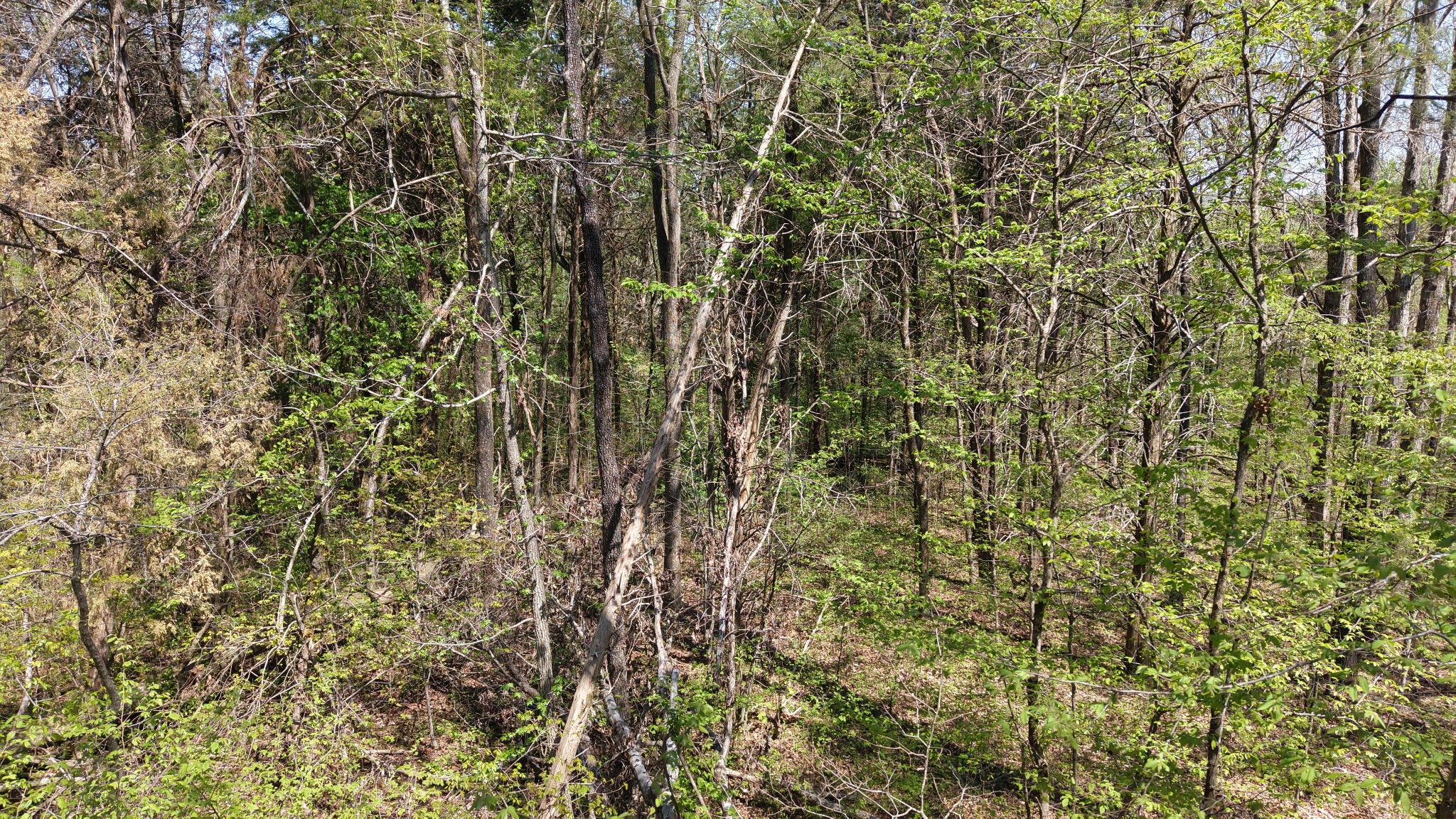 0 Old Highway 96 Burns TN 37029