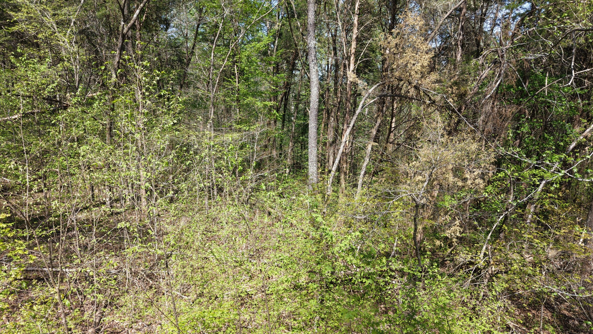 0 Old Highway 96 Burns TN 37029