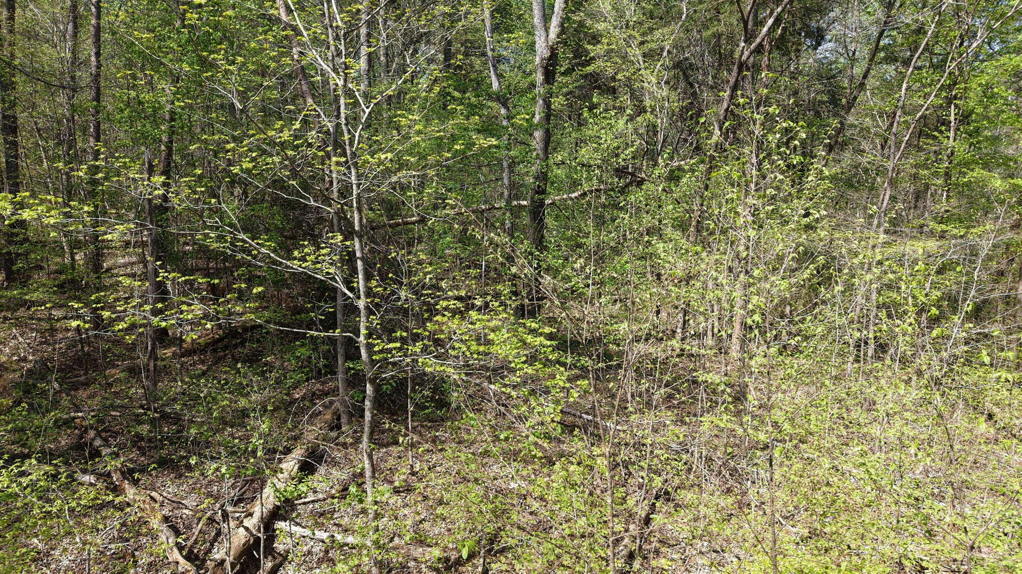 0 Old Highway 96 Burns TN 37029