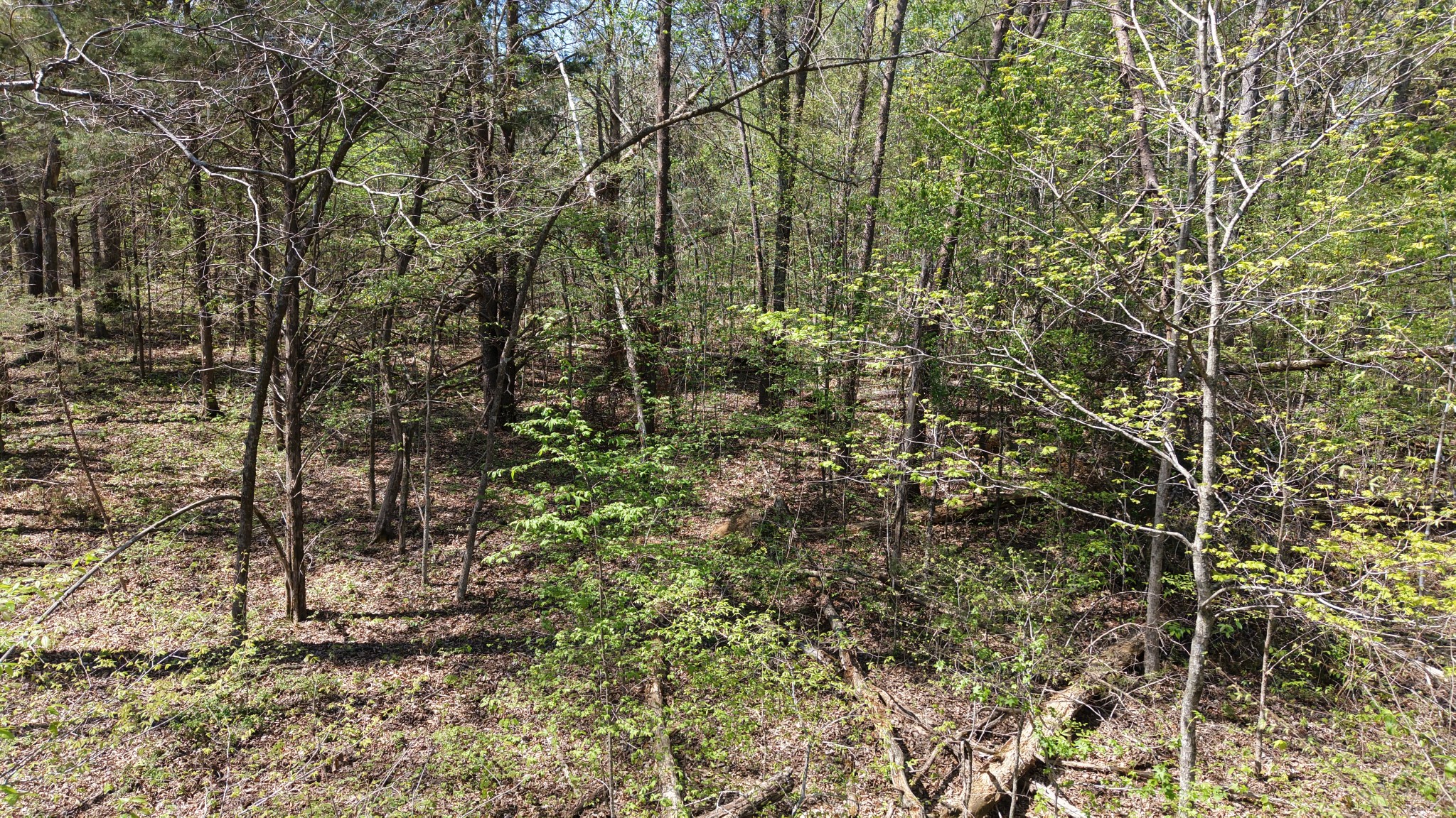 0 Old Highway 96 Burns TN 37029
