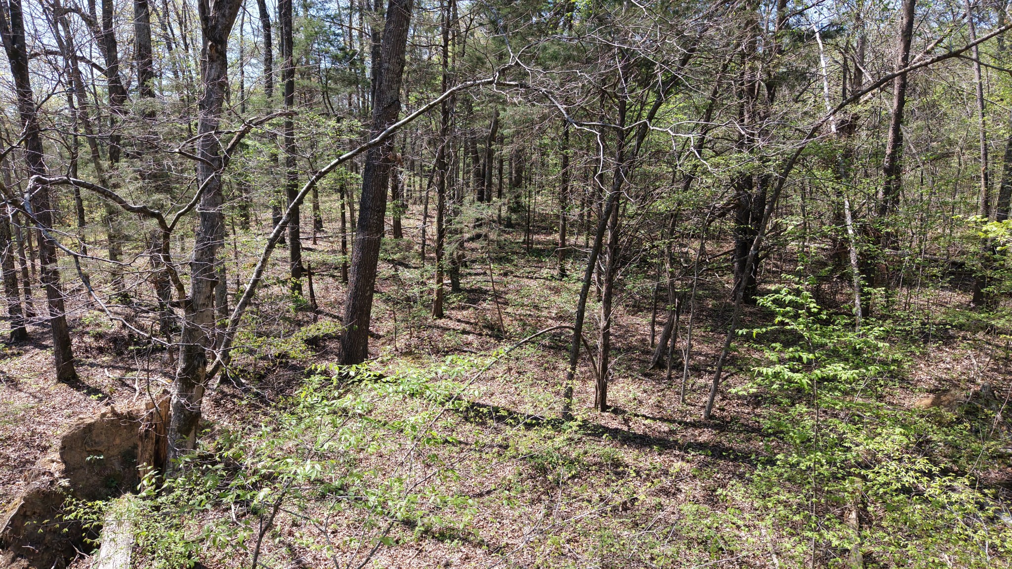 0 Old Highway 96 Burns TN 37029