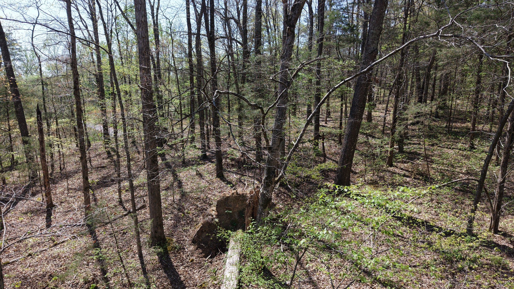 0 Old Highway 96 Burns TN 37029