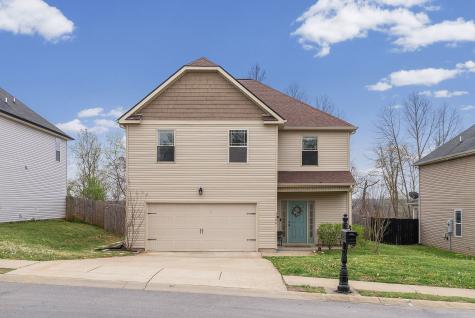 1196 Henry Place Boulevard Clarksville TN 37042
