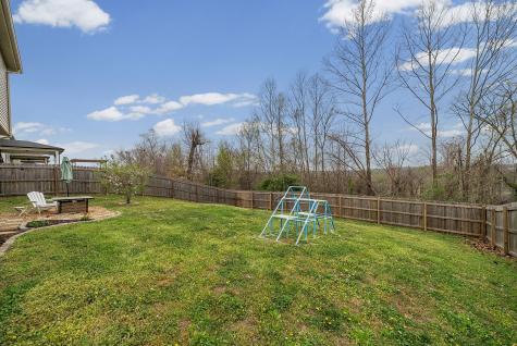 1196 Henry Place Boulevard Clarksville TN 37042