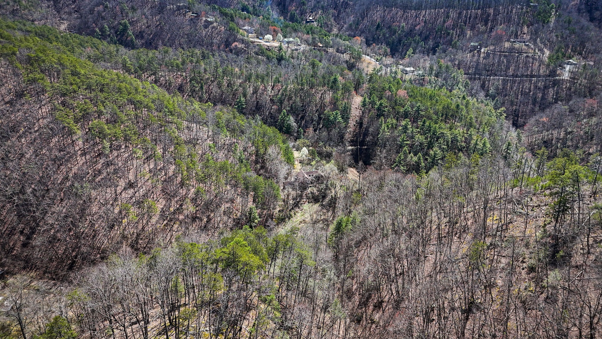 1060 Rayfield Hollow Way Sevierville TN 37862