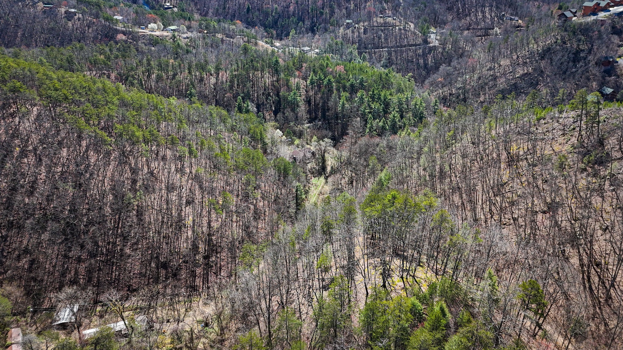 1060 Rayfield Hollow Way Sevierville TN 37862