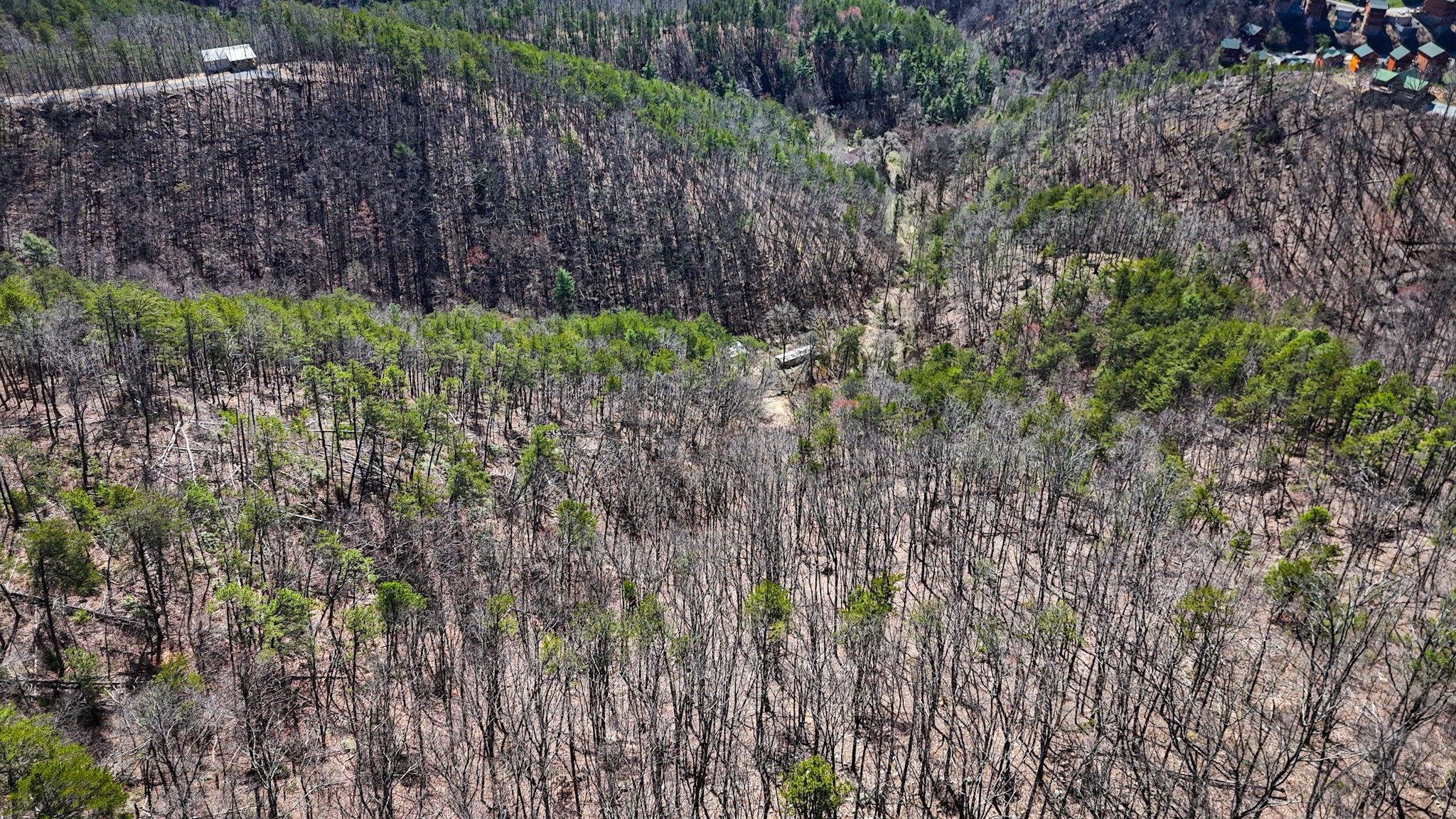 1060 Rayfield Hollow Way Sevierville TN 37862