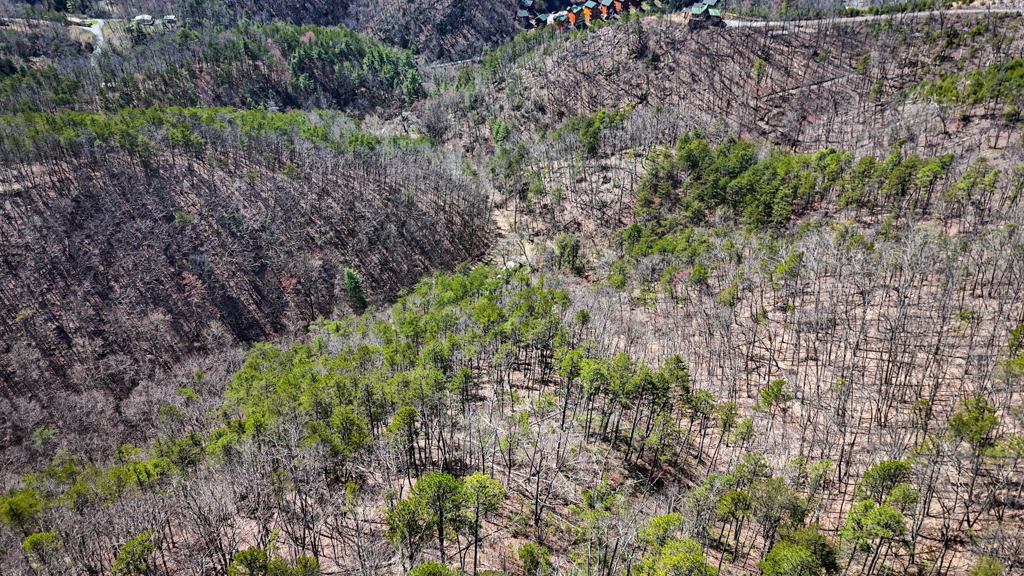 1060 Rayfield Hollow Way Sevierville TN 37862