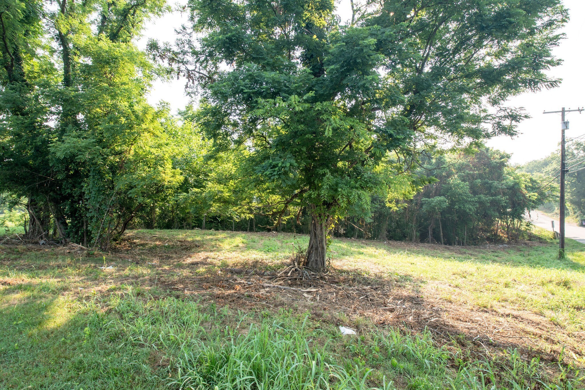 0 Bear Creek Pike Columbia TN 38401