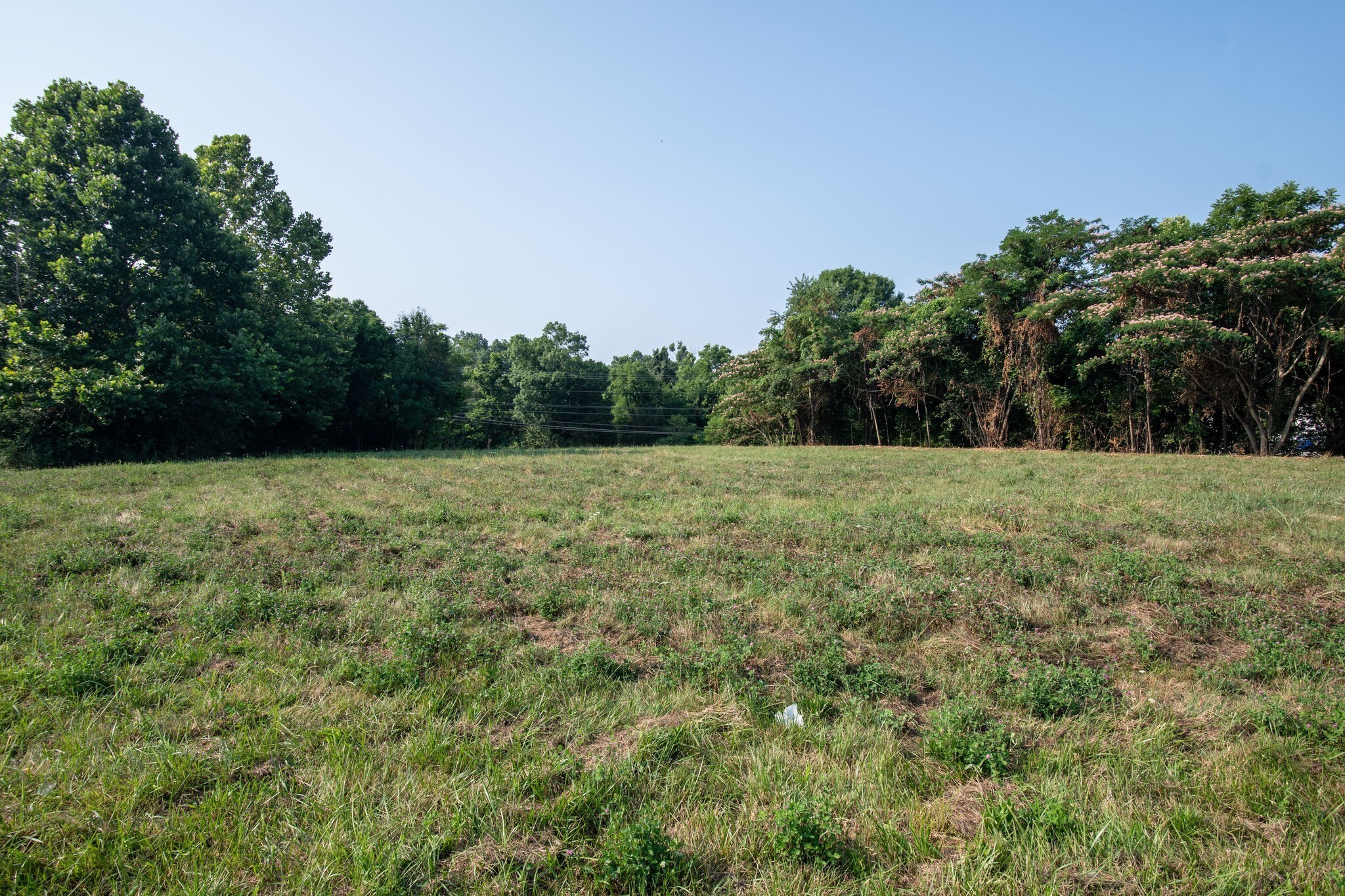 0 Bear Creek Pike Columbia TN 38401