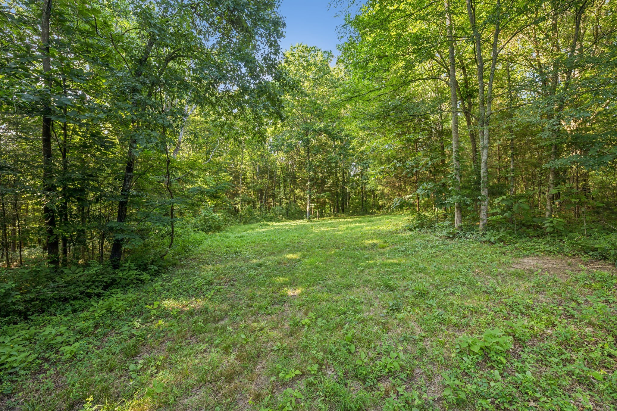 2650 Finley Ridge Lane Nolensville TN 37135