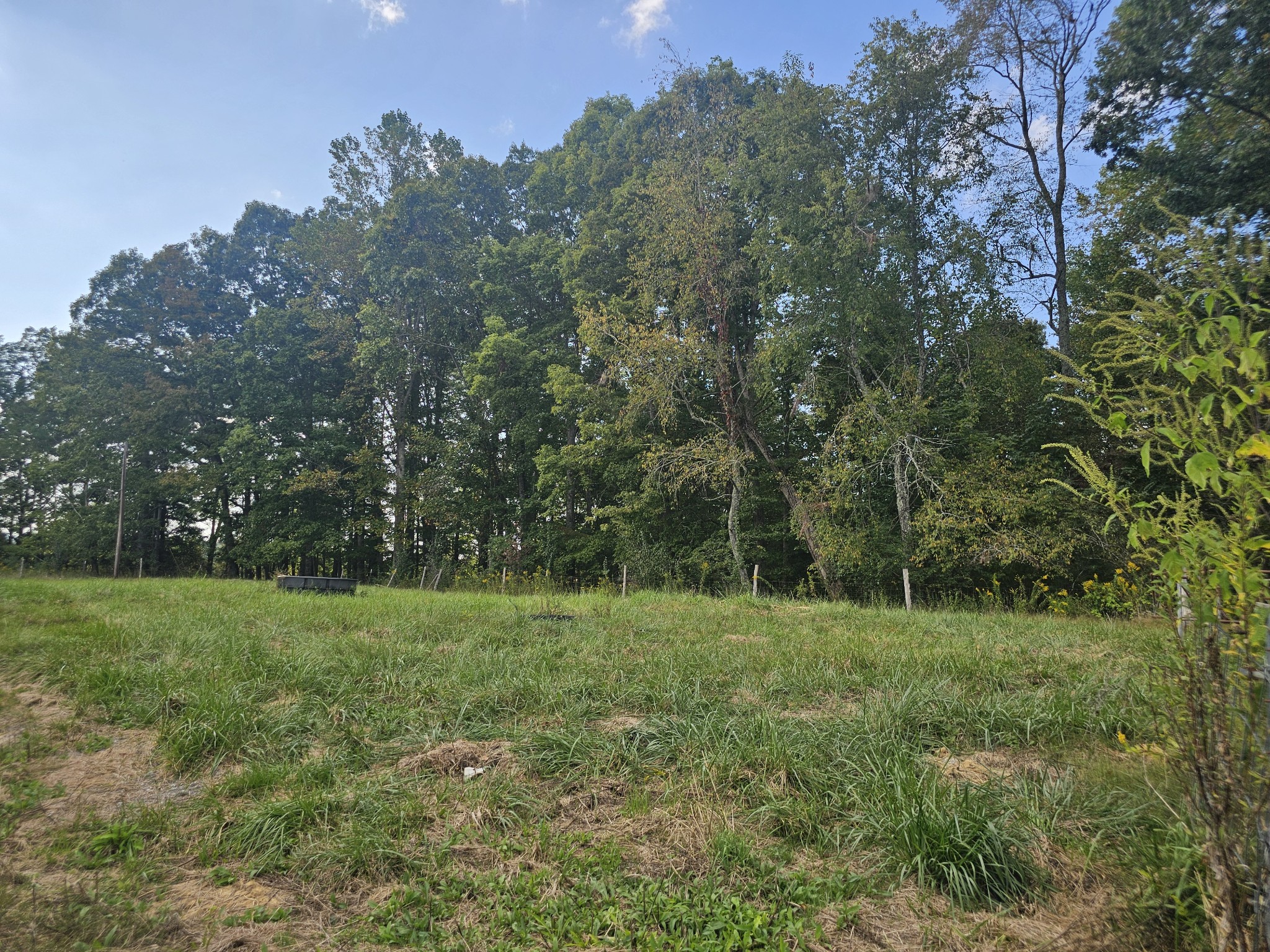1077 Rock Avenue Palmer TN 37365
