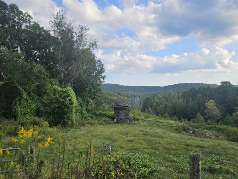 1077 Rock Avenue Palmer TN 37365