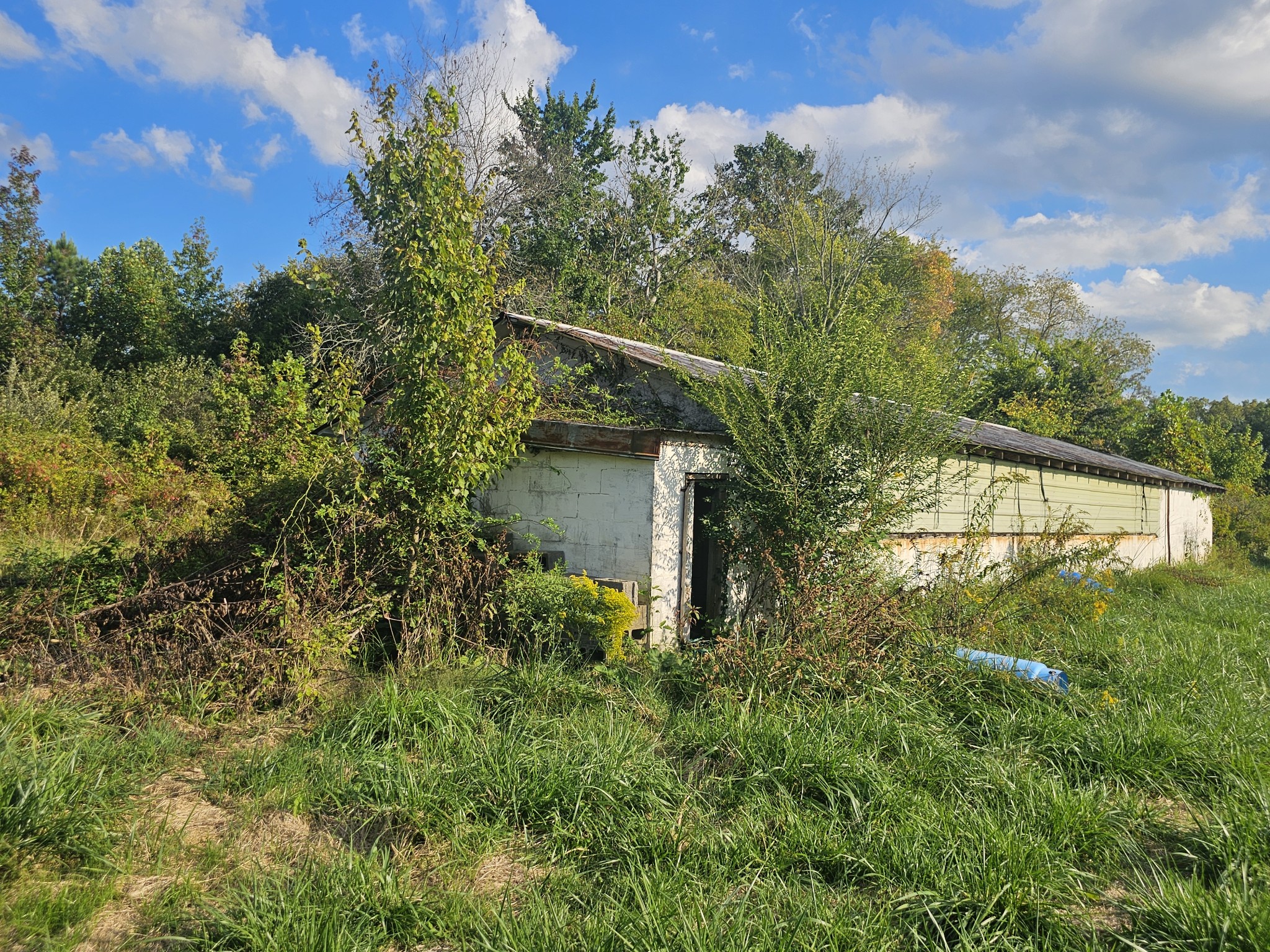 1077 Rock Avenue Palmer TN 37365