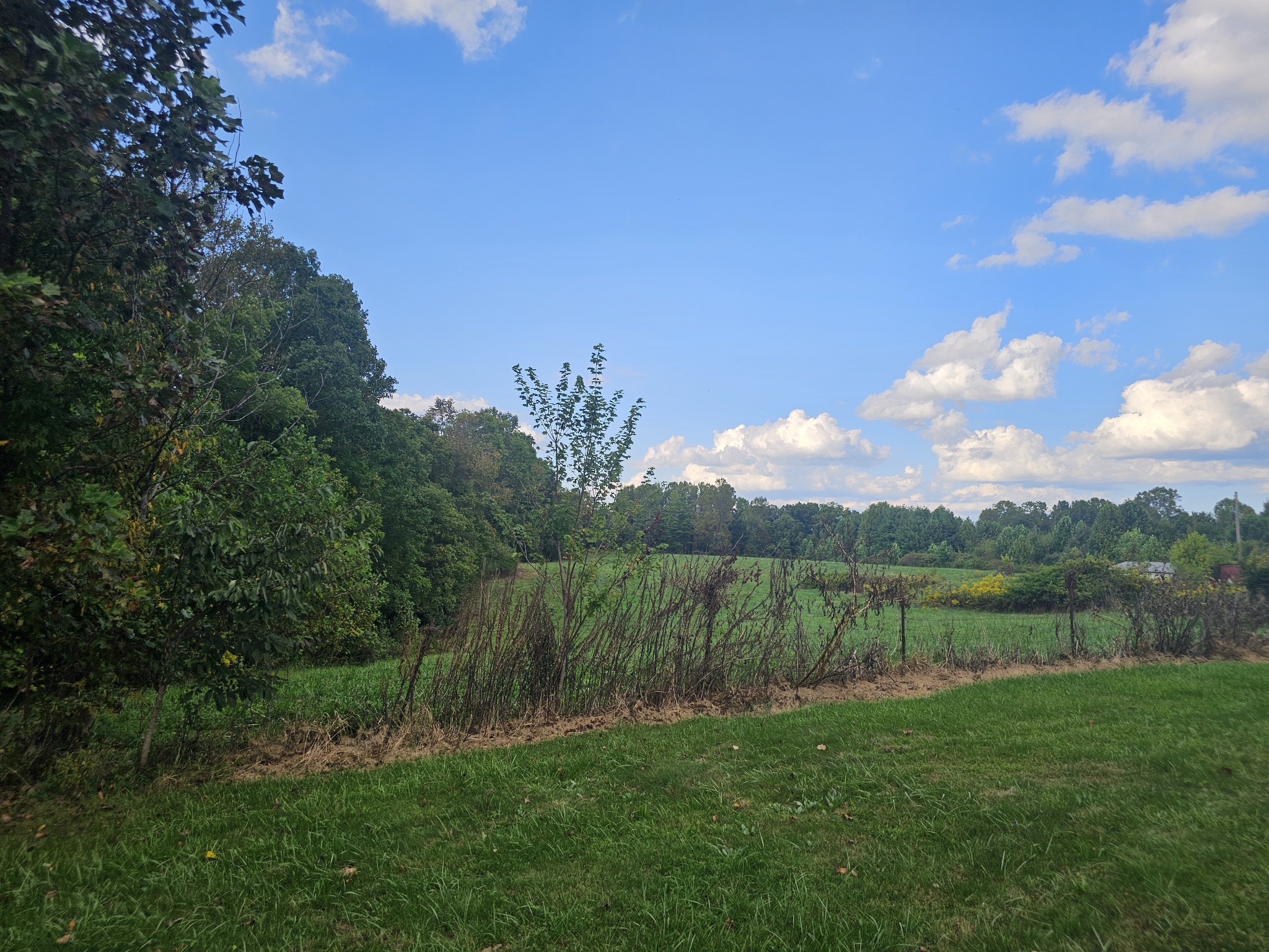 1077 Rock Avenue Palmer TN 37365