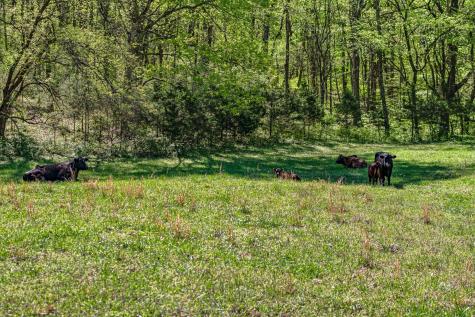 4540 Peytonsville Road Franklin TN 37064