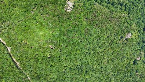 1900 Timberwood Trace Monteagle TN 37356