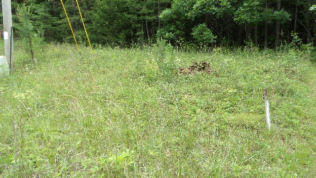 0 Parkstown Extension Road Wilder TN 38589