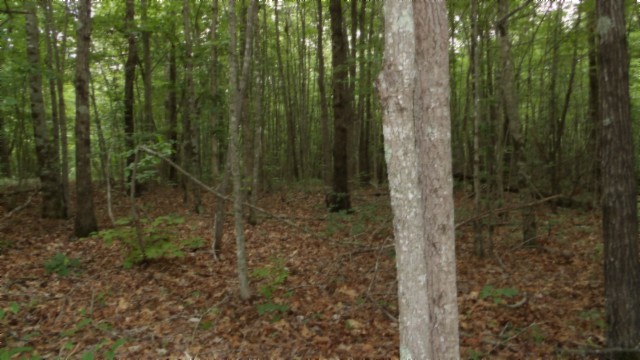 0 Parkstown Extension Road Wilder TN 38589