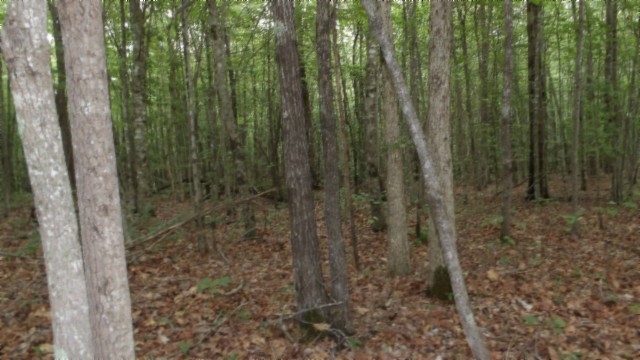 0 Parkstown Extension Road Wilder TN 38589