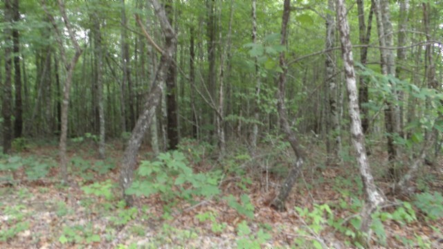 0 Parkstown Extension Road Wilder TN 38589
