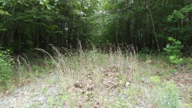 0 Parkstown Extension Road Wilder TN 38589