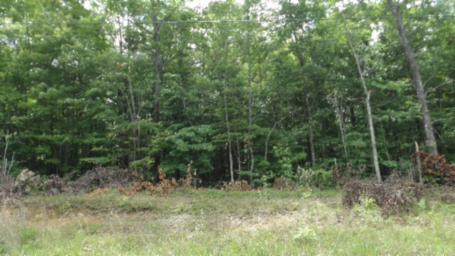 0 Parkstown Extension Road Wilder TN 38589