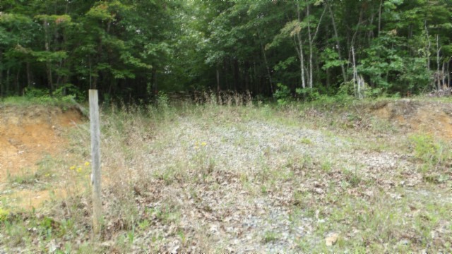 0 Parkstown Extension Road Wilder TN 38589
