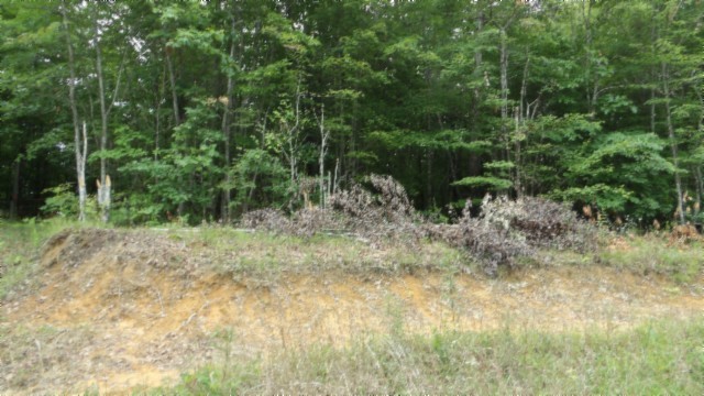 0 Parkstown Extension Road Wilder TN 38589