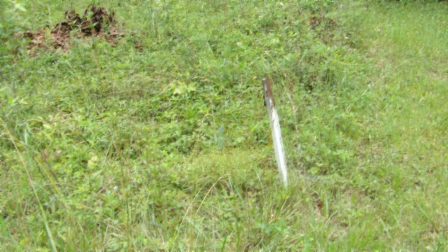 0 Parkstown Extension Road Wilder TN 38589