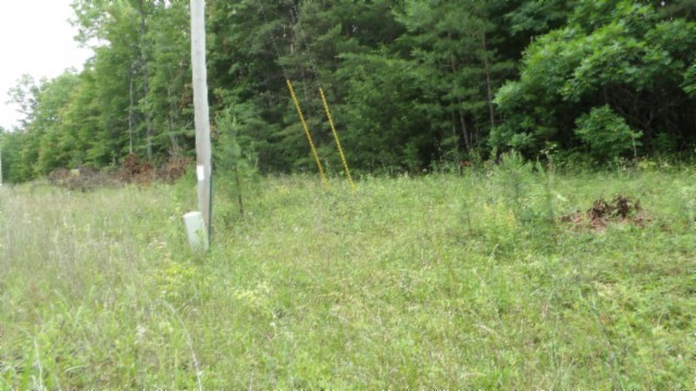 0 Parkstown Extension Road Wilder TN 38589