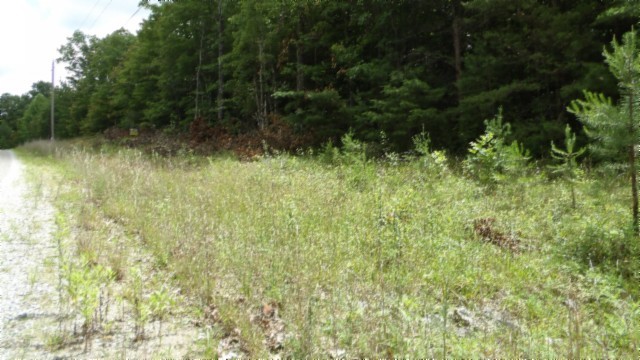 0 Parkstown Extension Road Wilder TN 38589