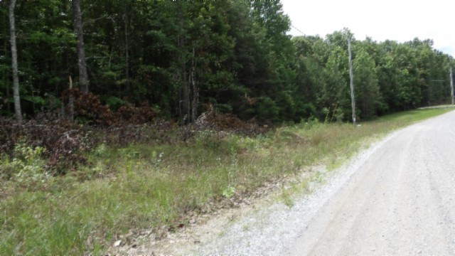 0 Parkstown Extension Road Wilder TN 38589