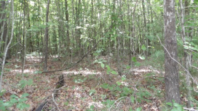 0 Parkstown Extension Road Wilder TN 38589