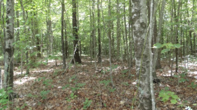 0 Parkstown Extension Road Wilder TN 38589
