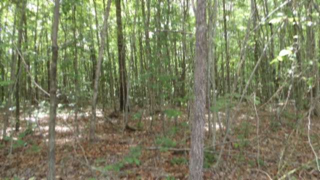 0 Parkstown Extension Road Wilder TN 38589
