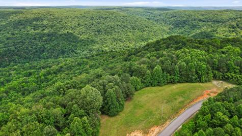 0 Preservation Drive South Pittsburg TN 37380